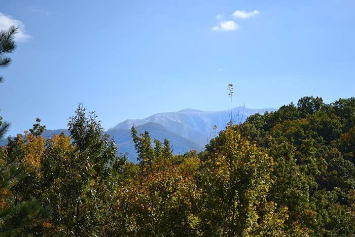 Mountain High Villa แกตลิงเบิร์ก ภายนอก รูปภาพ