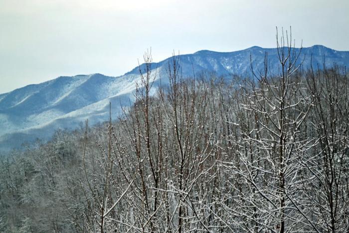 Mountain High Villa แกตลิงเบิร์ก ภายนอก รูปภาพ